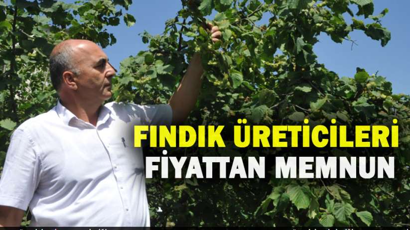 Samsun'da fındık üreticileri fiyattan memnun