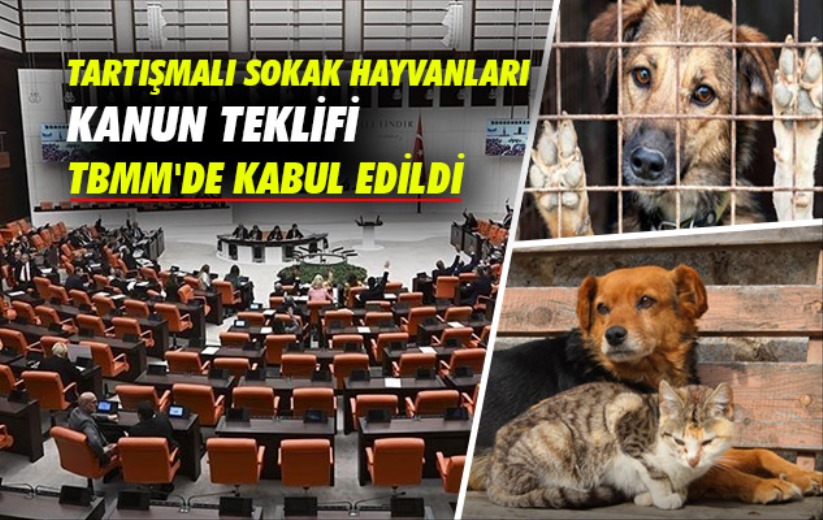 Tartışmalı sokak hayvanları kanun teklifi TBMM'de kabul edildi