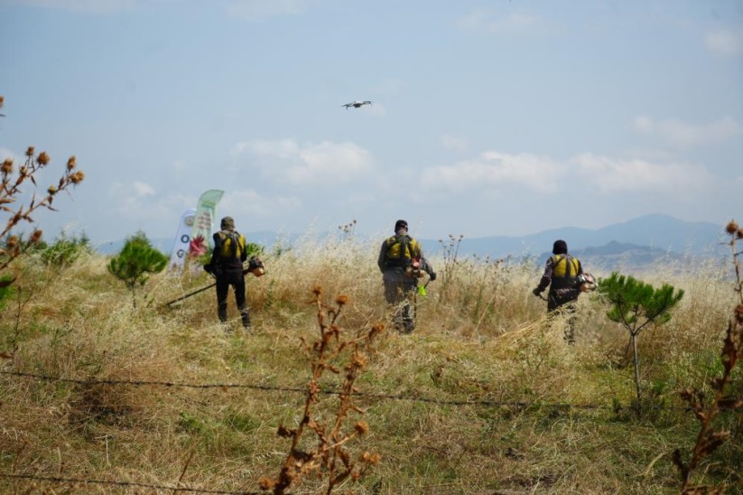 Samsun'da orman yangınlarına karşı seferberlik