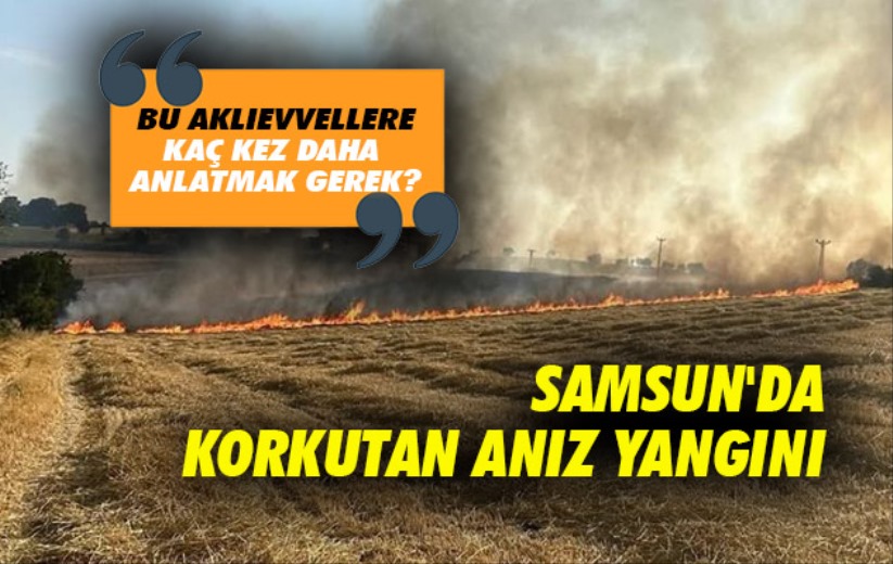 Samsun'da korkutan anız yangını