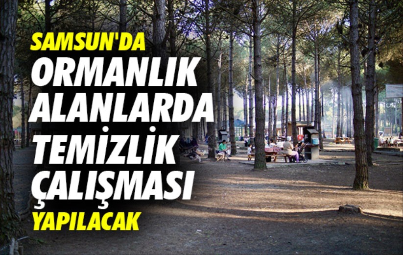 Samsun'da ormanlık alanlarda temizlik çalışması yapılacak