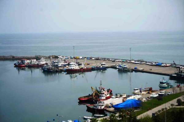 Samsun'da 2025 yılında 65 bin 658 ton balık üretimi planlanıyor