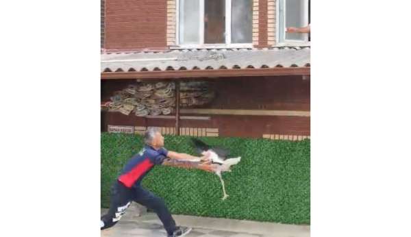 Tek ayaklı leyleği havada yakaladı, itfaiye erinin refleksi leyleğin hayatını kurtardı