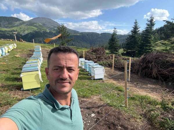 Koruma altındaki gelincik Ilgaz Dağı'nda görüntülendi