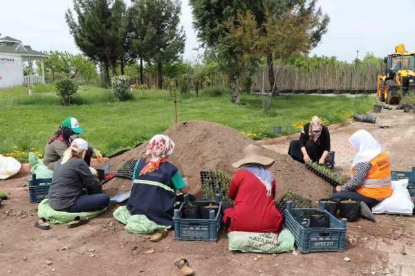 Kayapnar Belediyesi 1 milyon 500 bin bitki üretmeyi hedefliyor