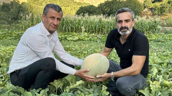 Yüksekova'da yetiştirilen kavunlar büyüklüğüyle dikkat çekiyor