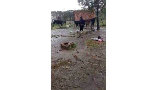 Samsun'a giden fındık işçilerini yağmur vurdu