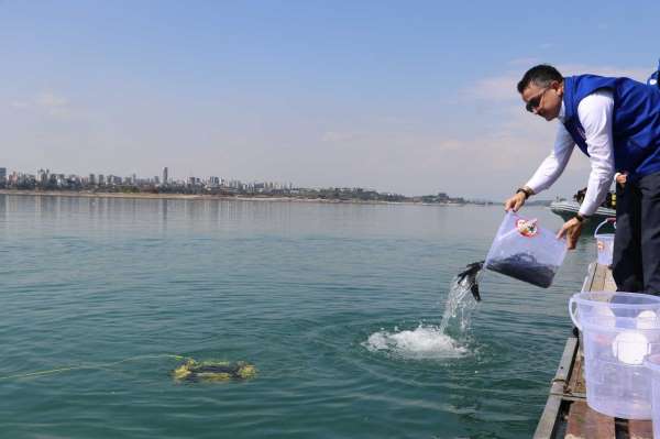 Bakan Pakdemirli Adana'da göle balık bıraktı