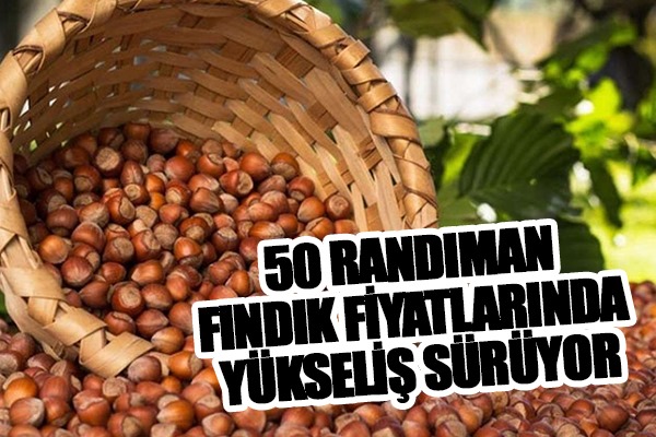 Serbest piyasada fındık fiyatları (30 Eylül 2023)