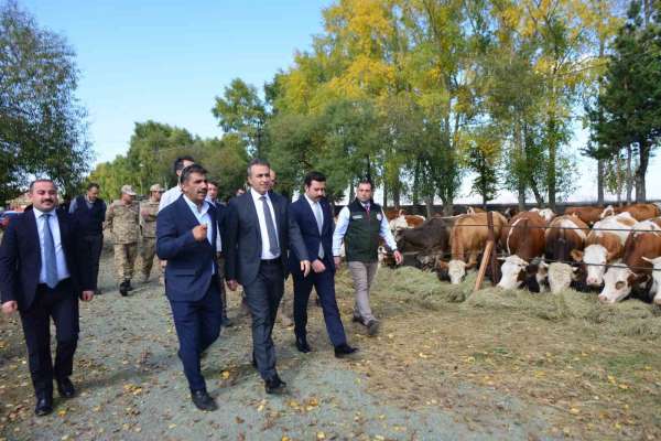 Vali Çiçek, Göle TİGEM'de incelemelerde bulundu