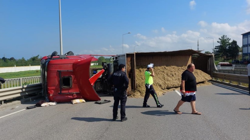 Samsun'da boynunu arı sokan tır sürücüsü aracını devirince kazada hastanelik oldu