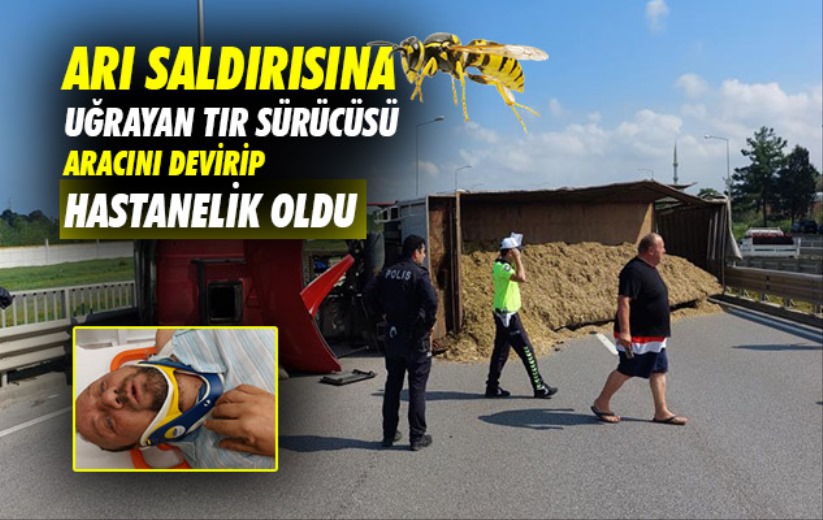 Samsun'da boynunu arı sokan tır sürücüsü aracını devirince kazada hastanelik oldu