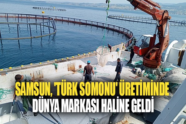 Samsun, 'Türk somonu' üretiminde dünya markası haline geldi