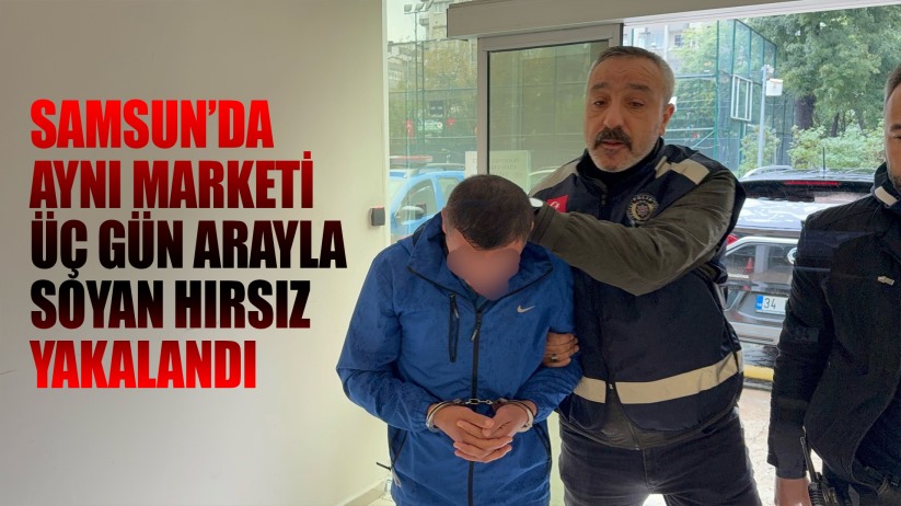 Samsun'da market ve iş yeri hırsızlığı şüphelisi yakalandı