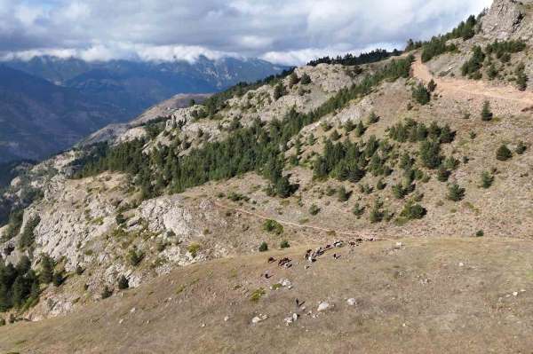 Gümüşhane'de genç muhtarın Türkiye'ye ilham veren başarı hikayesi