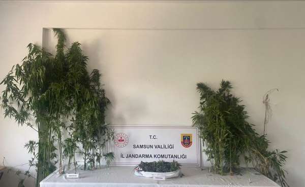 Jandarmadan iki ayrı uyuşturucu operasyonu: 3 gözaltı