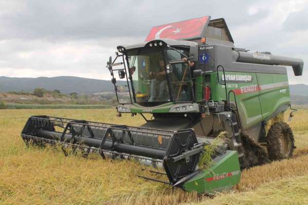 Manyas Ovası'nda çeltik hasadı başladı