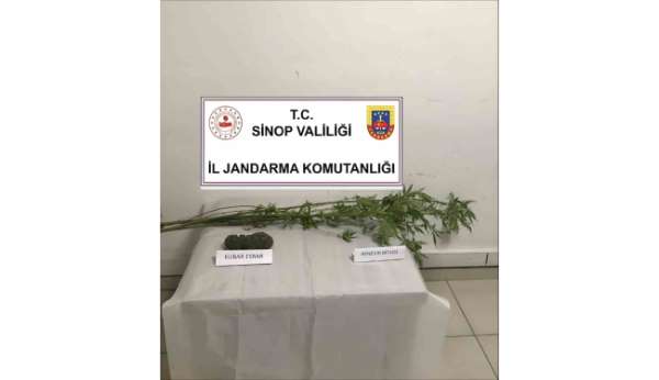 Sinop'ta kenevir ve kubar esrar ele geçirildi