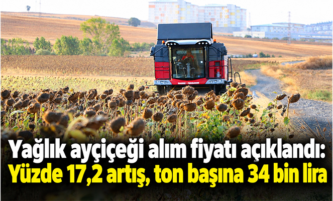 Yağlık ayçiçeği alım fiyatı açıklandı: Yüzde 17,2 artış, ton başına 34 bin lira