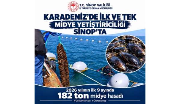 Sinop'ta 9 ayda 182 ton midye hasadı