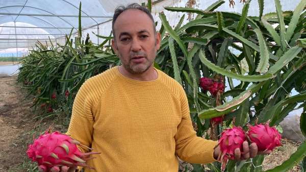 Mersin ve Antalya'da tadına baktı, atıl araziyi ekonomiye kazandırdı