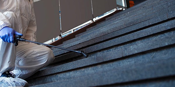 Hamam Böceği İlaçlama: Evdeki Zararlılardan Kurtulmanın Yolları