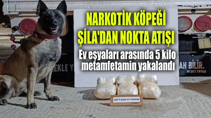 Narkotik Köpeği ŞİLA'dan Nokta Atışı!