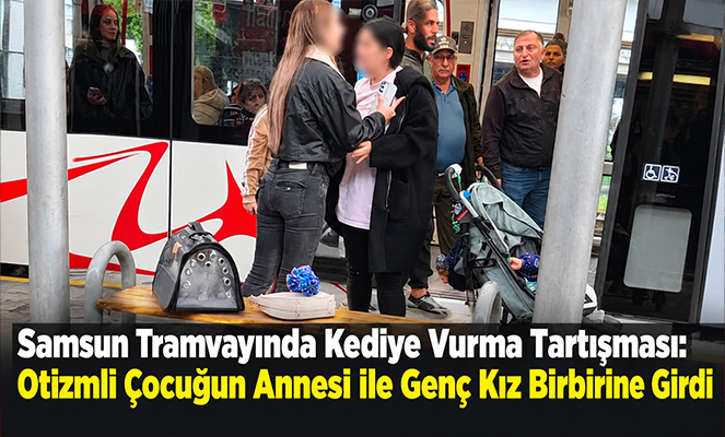 Kediye vurma tartışması itiş-kakışa döndü