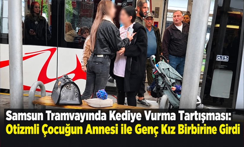 Kediye vurma tartışması itiş-kakışa döndü