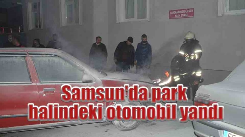 Samsun'da park halindeki otomobilde yangın