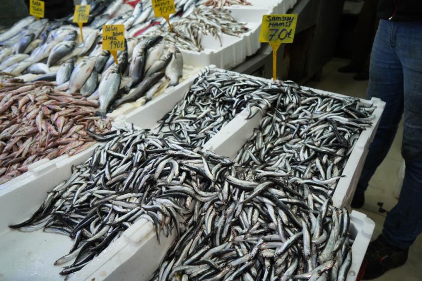 Vatandaşlar hamsiyi alırken fiyatına değil boyuna bakıyor