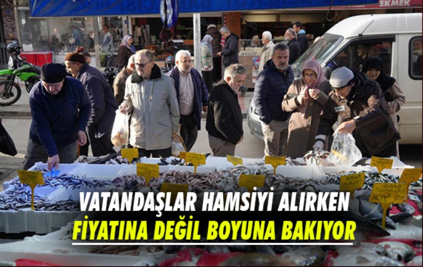 Vatandaşlar hamsiyi alırken fiyatına değil boyuna bakıyor