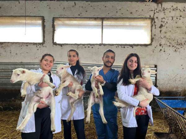BAÜN Veteriner Fakültesi Öğrencileri, 'Yetiştirme Çiftliğinde' pratik kazanıyor