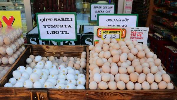 Yumurta 'altın' oldu 