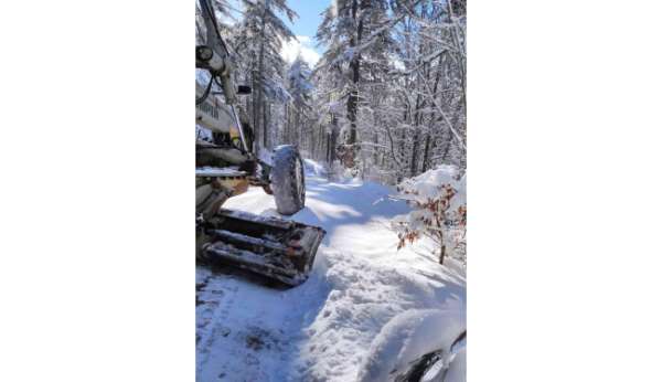 Orman Müdürlüğü yoğun kar altında nakliyatlara devam ediyor