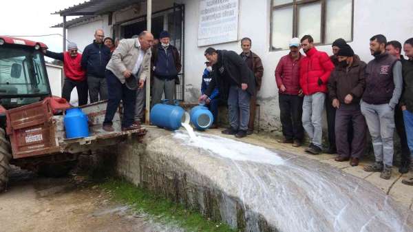 Çanakkale'de mandıracılara kızıp 200 kilogram sütü döktüler - Çanakkale haber