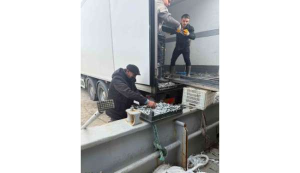 Balıkçı Ramazan'da ücretsiz hamsi dağıttı