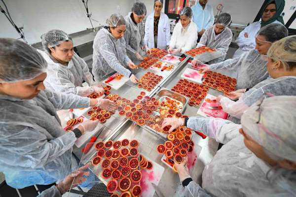 Mersin'de kan portakalı kadınların elinde değer kazanıyor