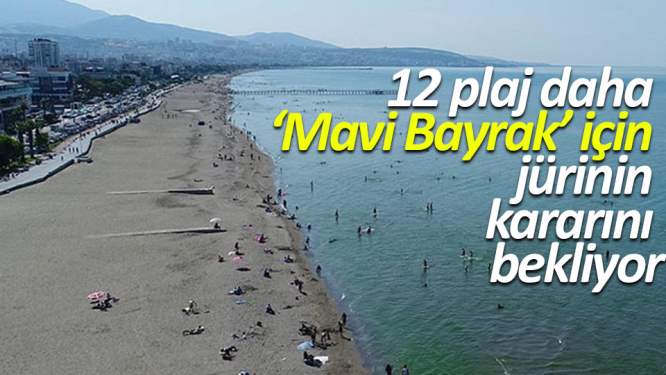 Samsun'da 12 plaj için karar bekleniyor