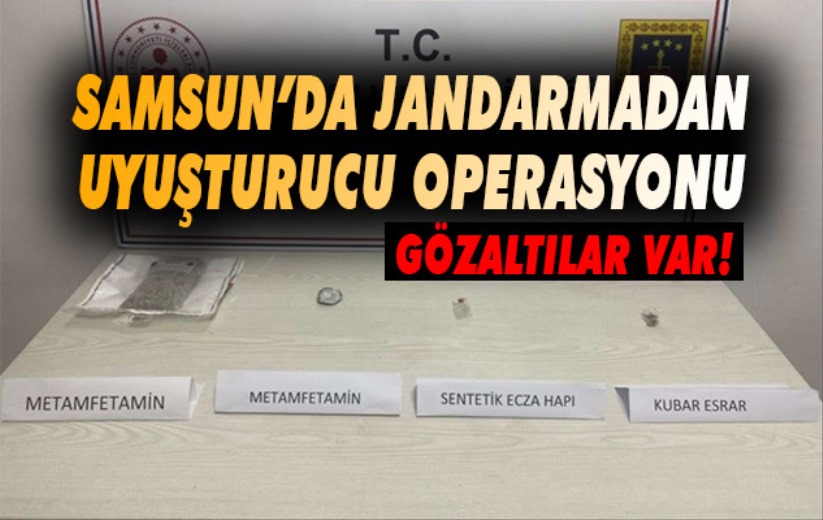 Jandarmadan uyuşturucu operasyonu: 2 gözaltı