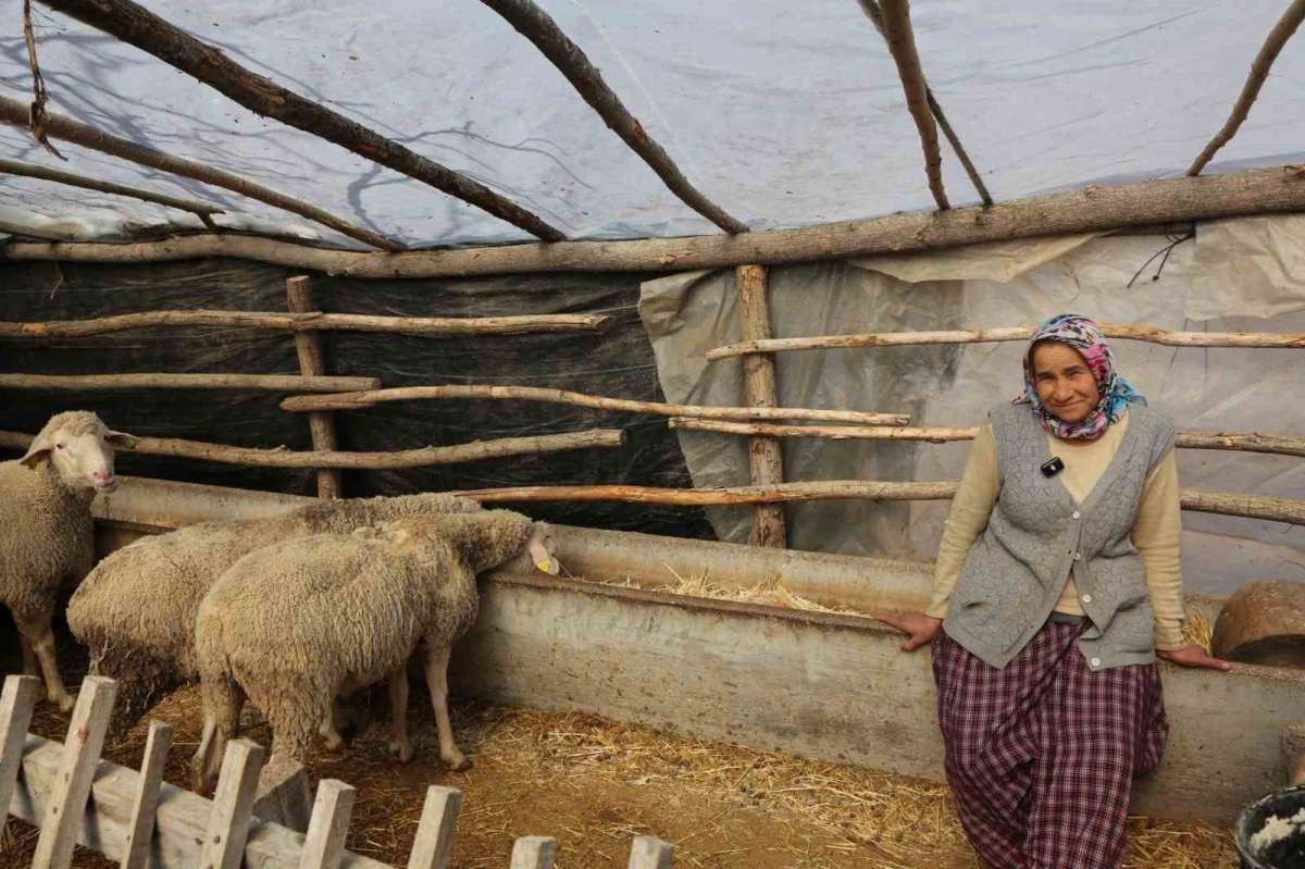 Büyükşehir'in kırsal kalkınma projeleri yüzleri güldürüyor: 'Köylü böyle desteklenmeli'