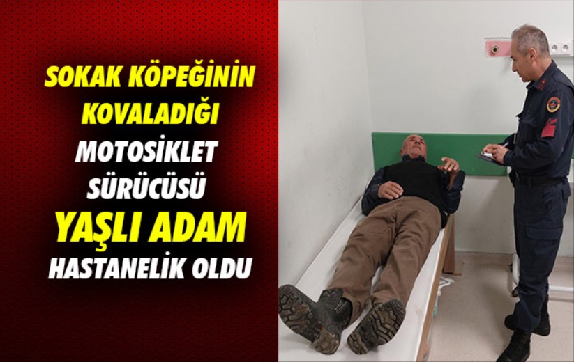 Samsun'da sokak köpeğinin kovaladığı motosiklet sürücüsü yaşlı adam hastanelik oldu