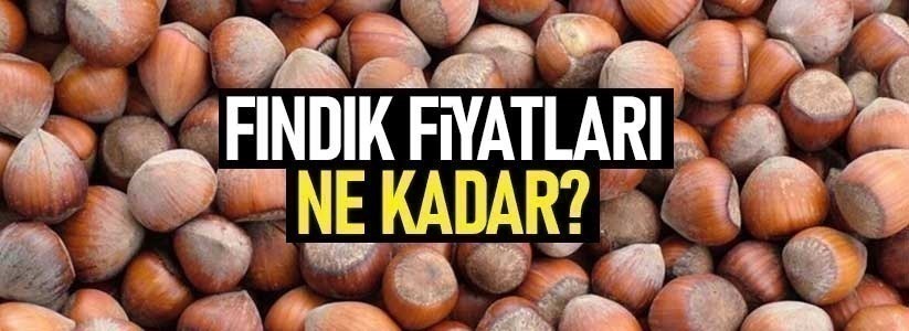 Samsun'da fındık fiyatları ne kadar? 4 Mayıs Salı fındık fiyatları