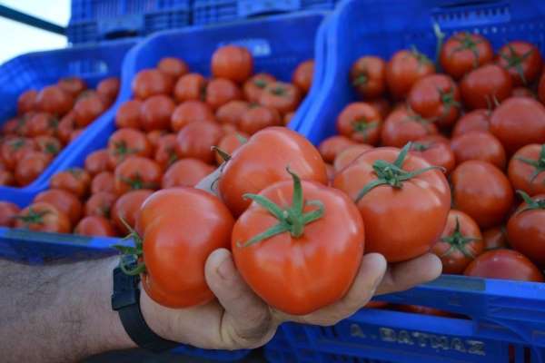Fiyatı en fazla artan ürün domates oldu
