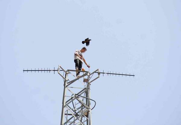 50 metre yüksekteki intihar teşebbüsü yavalarını korumak isteyen kargaları da harekete geçirdi - Antalya haber