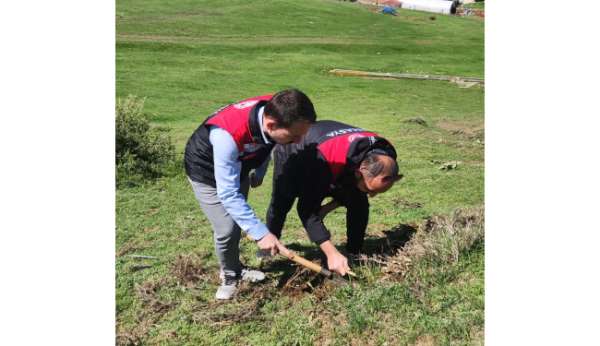 Amasya'da tarım ekipleri süne sürvey çalışmalarını sürdürüyor