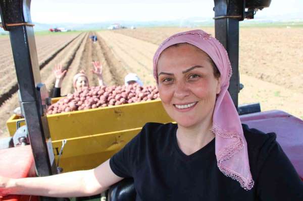 Cambridge mezunu kadın çiftçi, mor patatesi Anadolu'da yaygınlaştırmaya çalışıyor