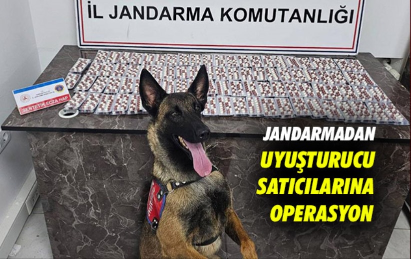 Samsun'da Jandarmadan uyuşturucu satıcılarına operasyon
