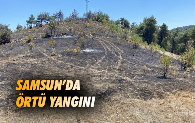 Samsun'da örtü yangını