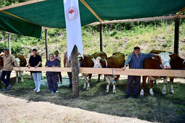 Sinop'ta 265 köylüye 40 milyon TL ferdi kredi desteği